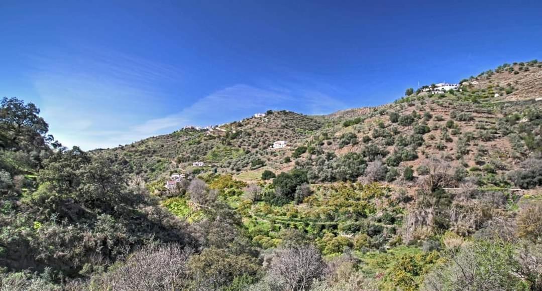 Finca El Almendro Árchez 외부 사진
