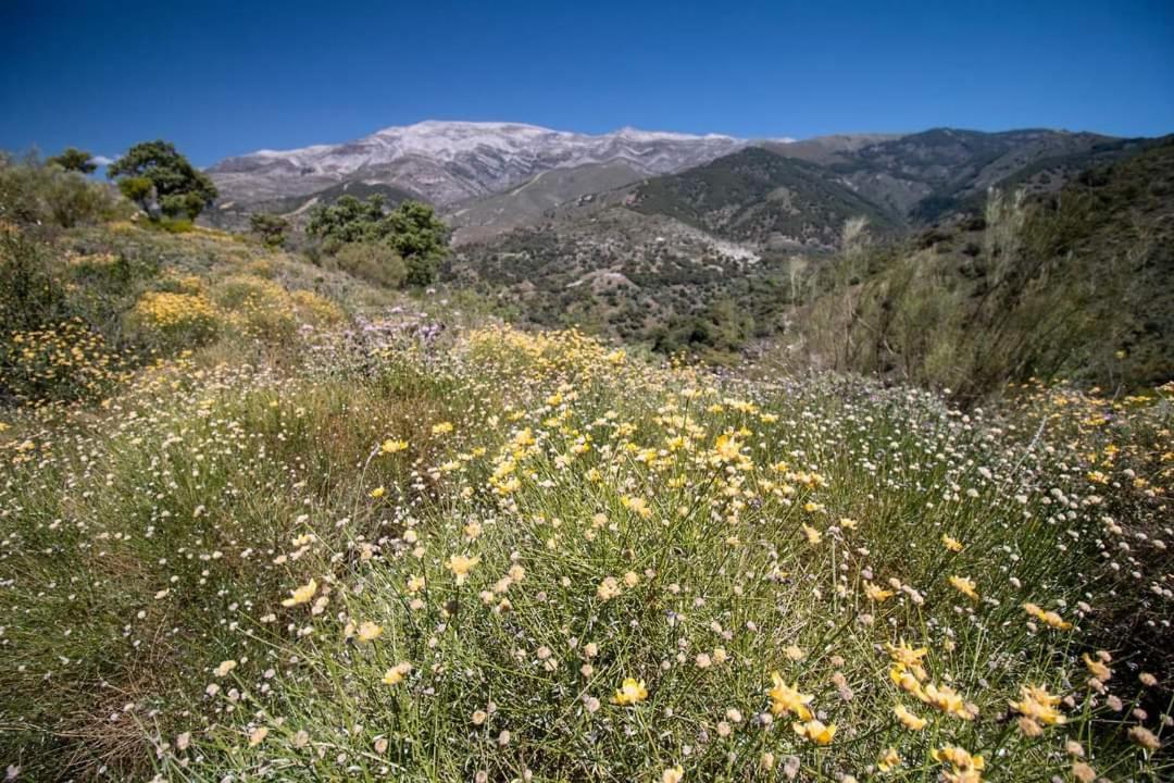 Finca El Almendro Árchez 외부 사진